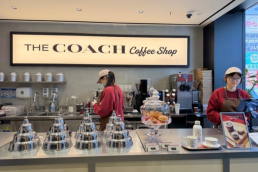 the-coach